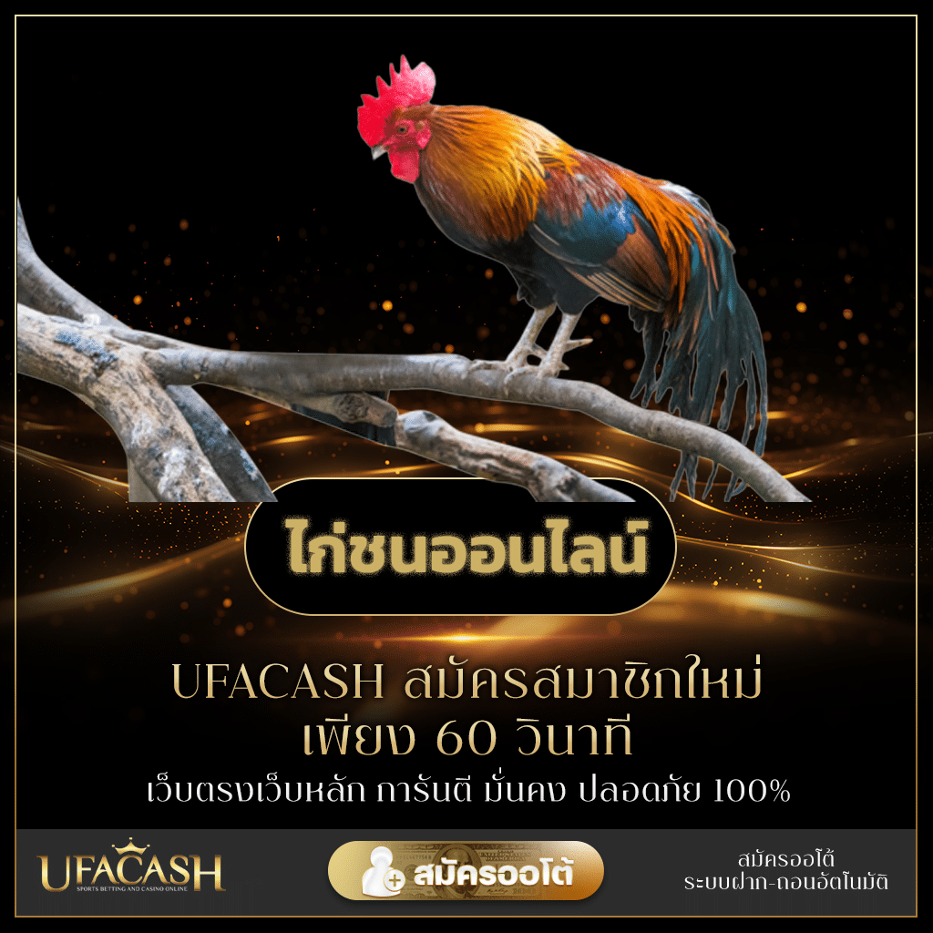 ไก่ชนออนไลน์