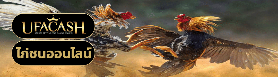 ไก่ชนออนไลน์